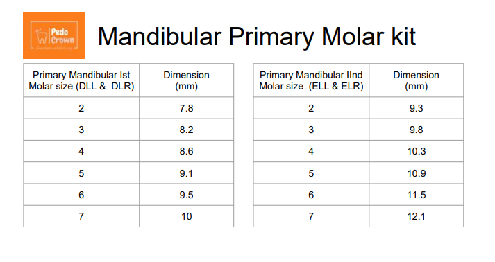 Pedo Crown Primary 1st Lower Molar Refills