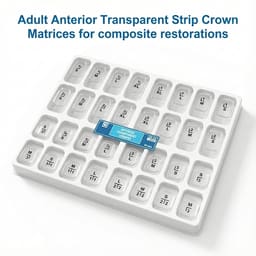 Tor Vm Transparent Crowns 64 pcs - Anterior No. 1.910 - 10