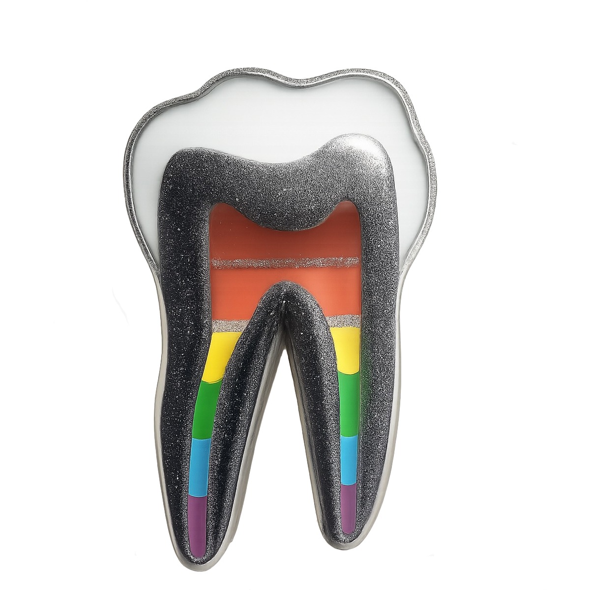 iDentical Tooth Shape Brooch With Rainbow Nerve Design – Pack Of 1 (ZYR-7412)