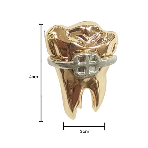 iDENTical Golden Crown With Silver Bracket Tooth Shape Brooch - Pack of 1 (ZYR-7490)
