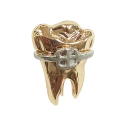 iDENTical Golden Crown With Silver Bracket Tooth Shape Brooch - Pack of 1 (ZYR-7490) - 1