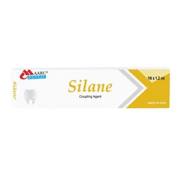Maarc Silane Coupling Agent  (3025/1.2) - 2