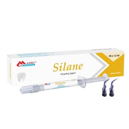 Maarc Silane Coupling Agent  (3025/1.2) - 1