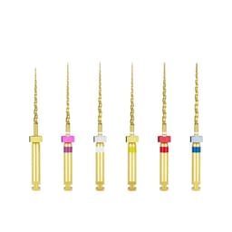 Dentsply Protaper Gold Rotary Assorted 21mm SX-F3 (Pack of 6)
