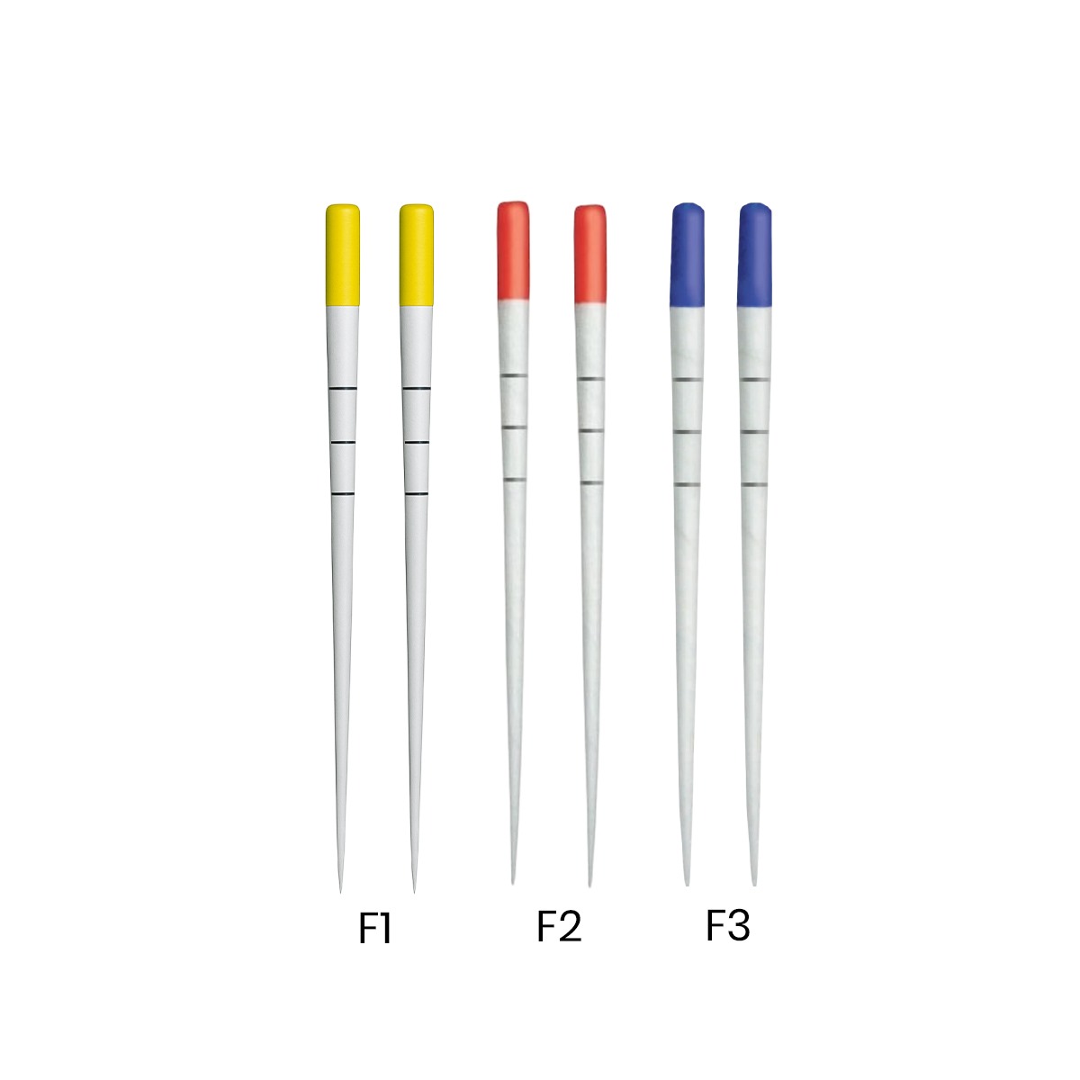 Dentsply Protaper Universal Paper Points