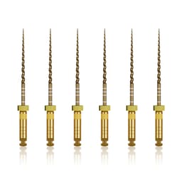 Waldent Wal-flex Gold Rotary Files 25mm - 13