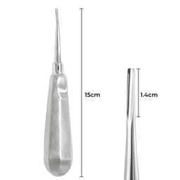 GDC Root Elevators Coupland Standard (E2c) - 2
