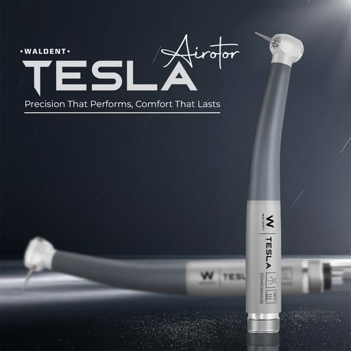 Waldent Tesla Airotor Standard Head - 4 Hole Connection (W-166)