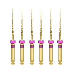 Dentsply Protaper Gold Rotary Files 21mm S1 (Pack of 6)