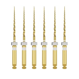 Dentsply Protaper Gold Rotary Files 21mm S2 (Pack of 6)