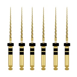 Dentsply Protaper Gold Rotary Files 21mm F4 (Pack of 6)