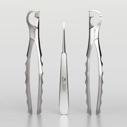 Waldent Physics Forceps Set of 5 (K1/3) - 6