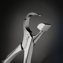 Waldent Physics Forceps Set of 5 (K1/3) - 4