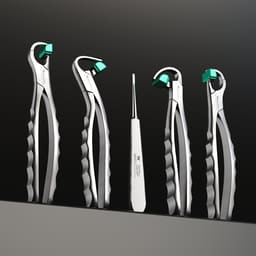 Waldent Physics Forceps Set of 5 (K1/3) - 8