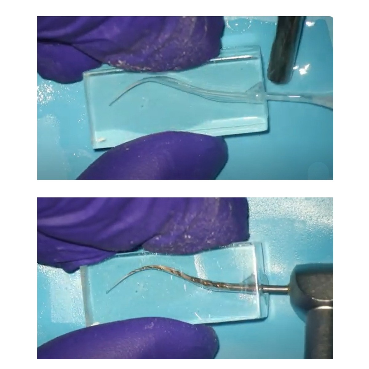 iDENTical Endo Training Block With S-shaped Canal For Root Canal Practice M8001-4
