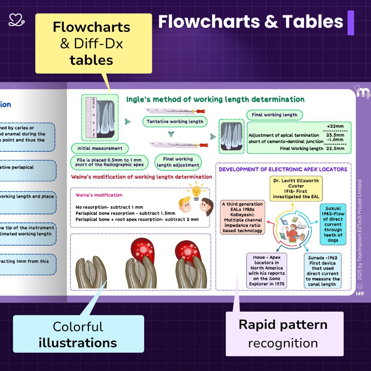 Medi Study Go Endodontics Mind Maps And Notes (ISBN: 271713)