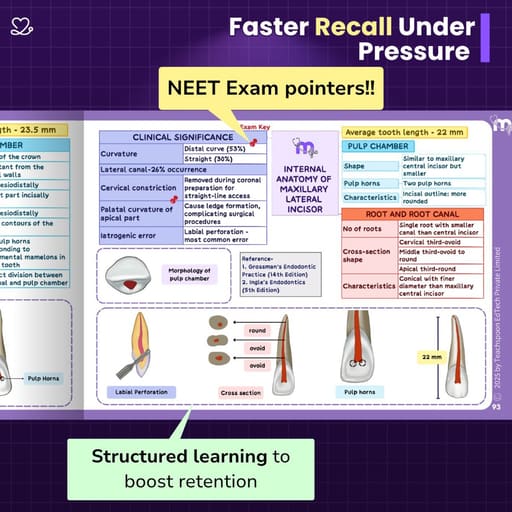 Medi Study Go Endodontics Mind Maps And Notes (ISBN: 271713)