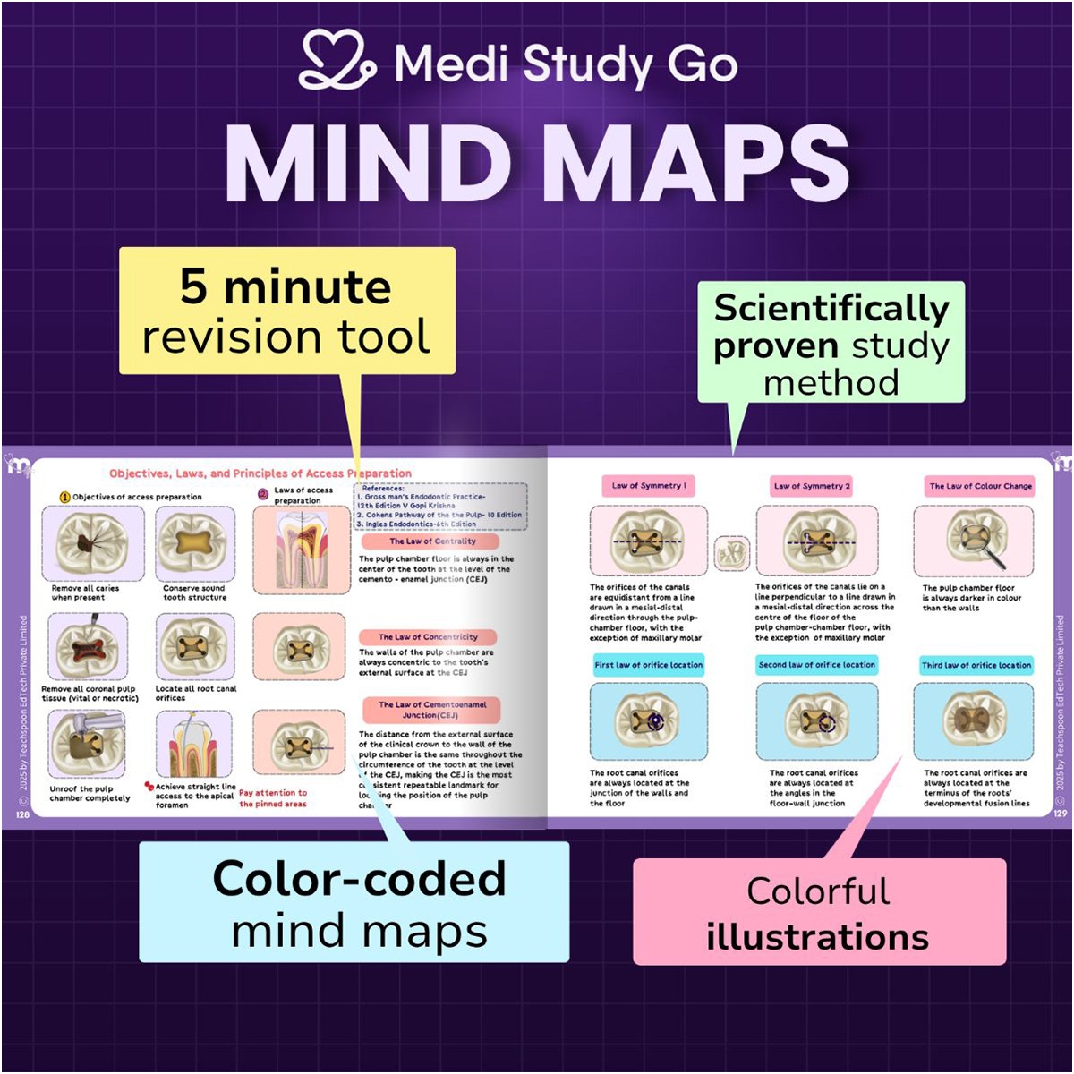 Medi Study Go Endodontics Mind Maps And Notes (ISBN: 271713)