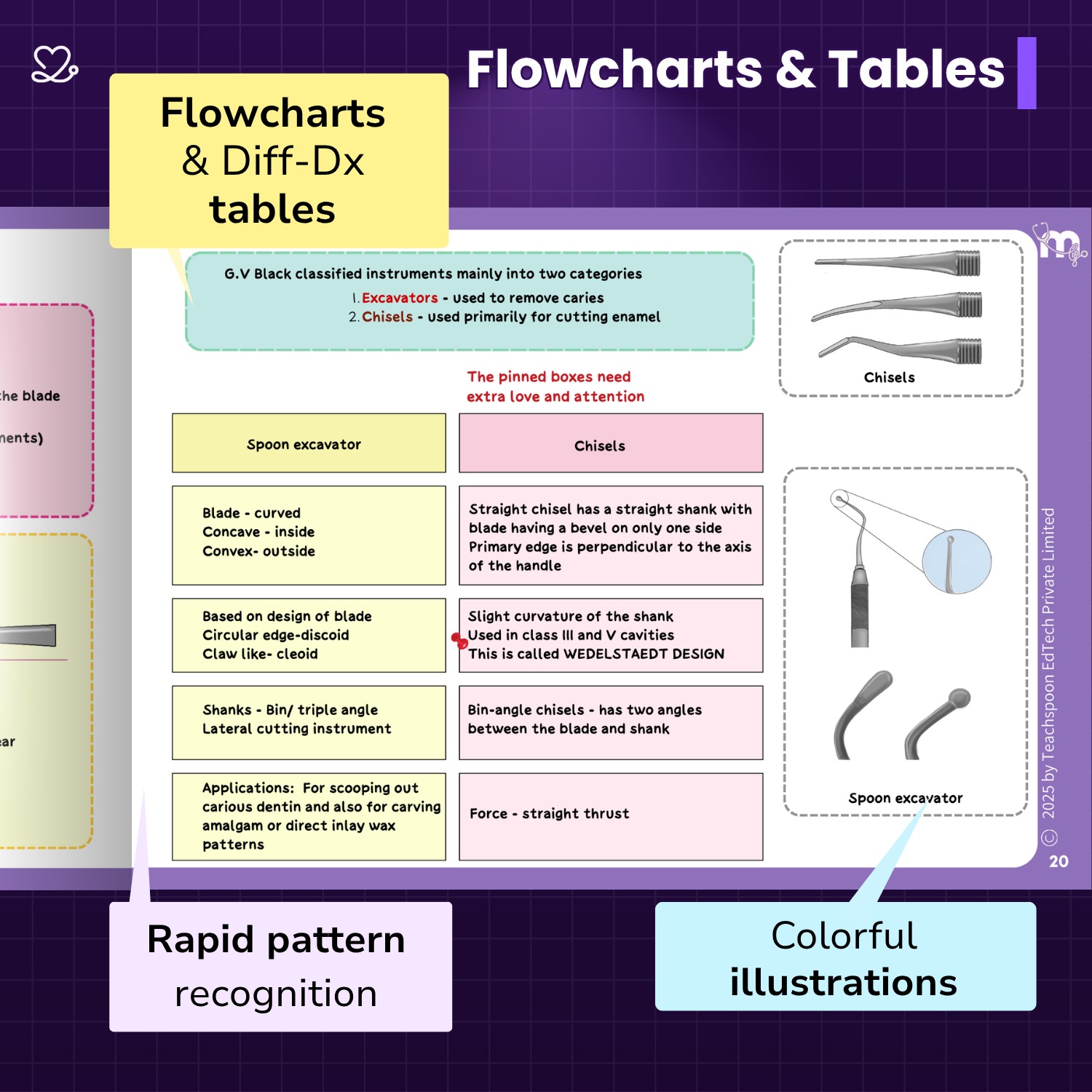 Medi Study Go Conservative Dentistry Mind Maps And Notes (ISBN: 268072)