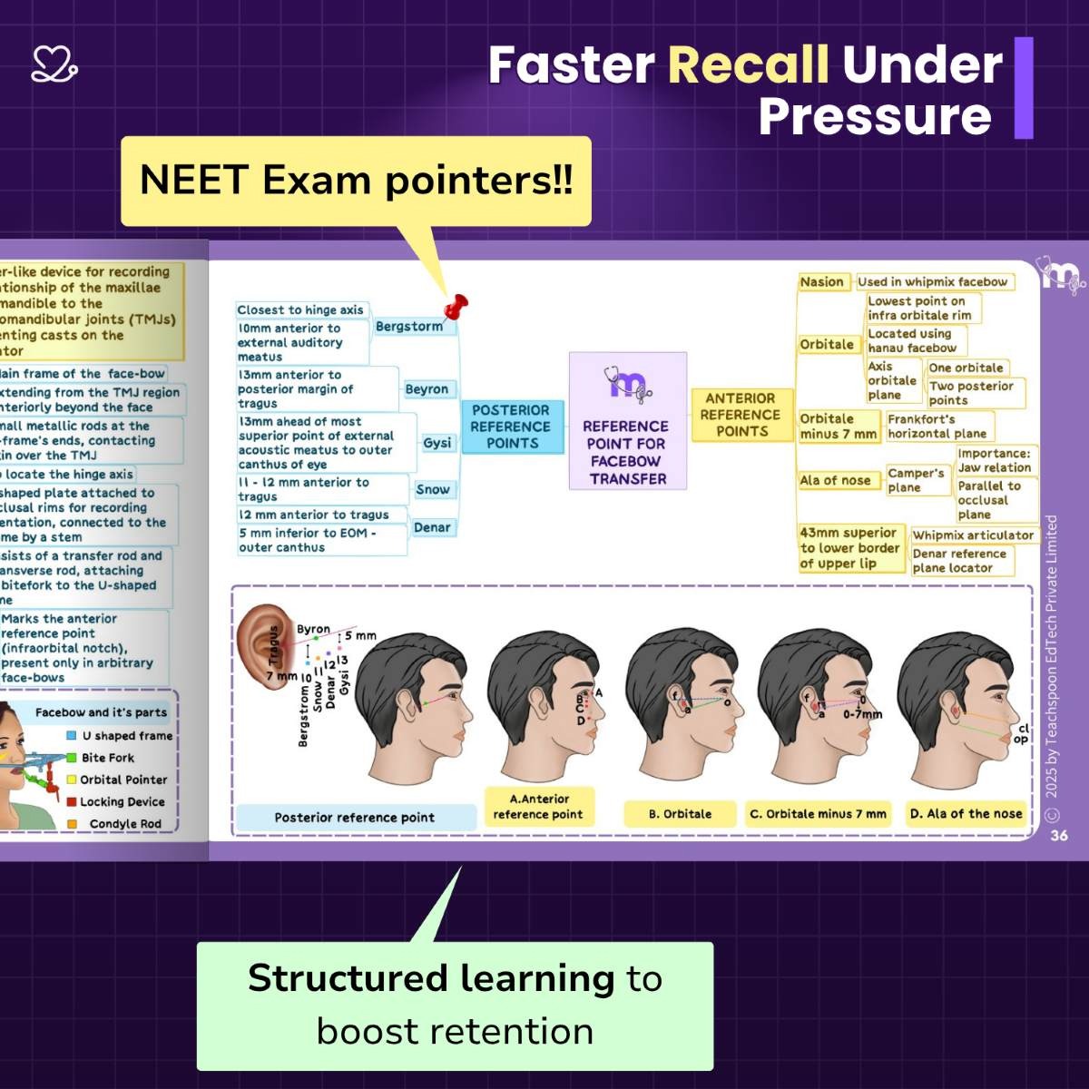 Medi Study Go Prosthodontics Mind Maps And Notes (ISBN: 273243)