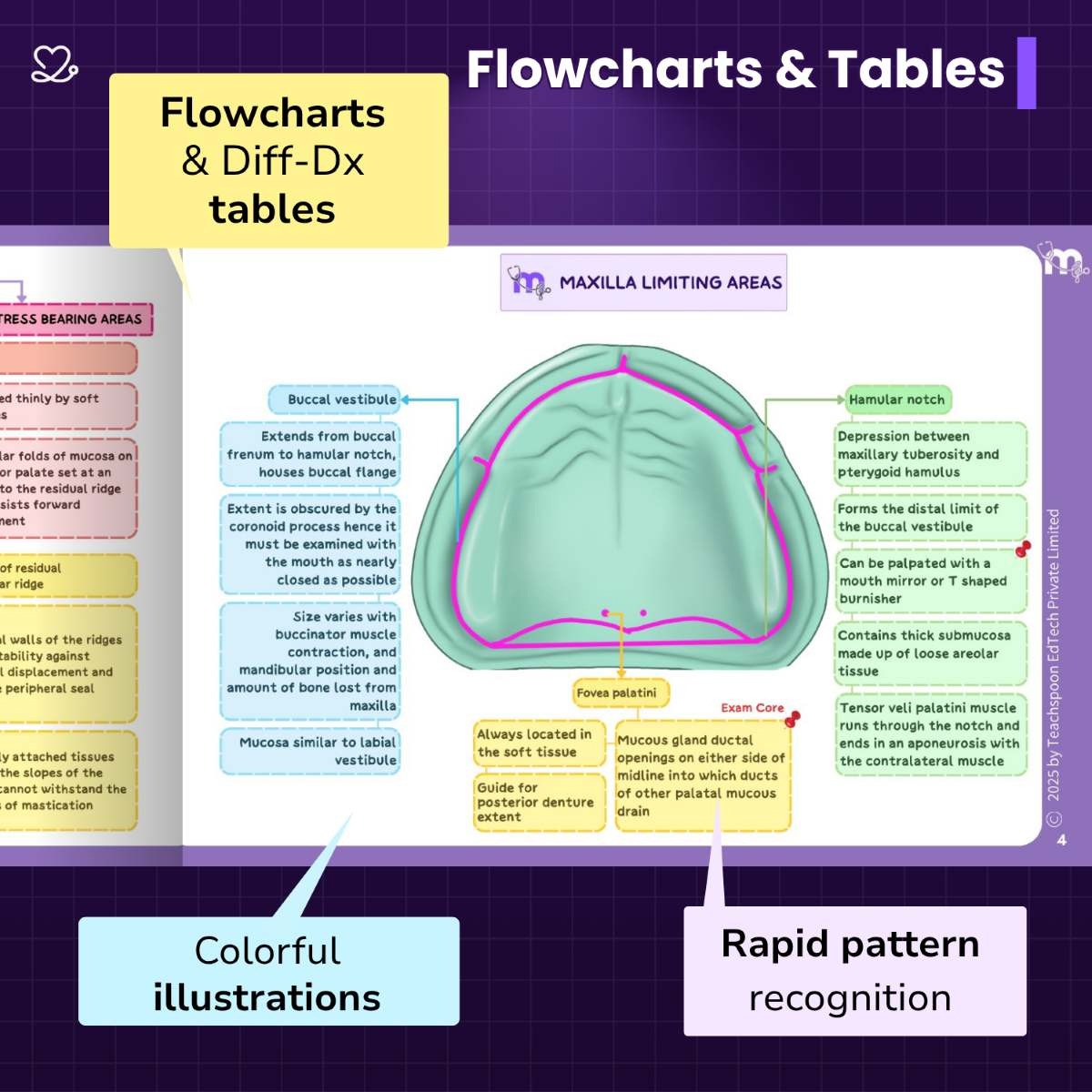 Medi Study Go Prosthodontics Mind Maps And Notes (ISBN: 273243)