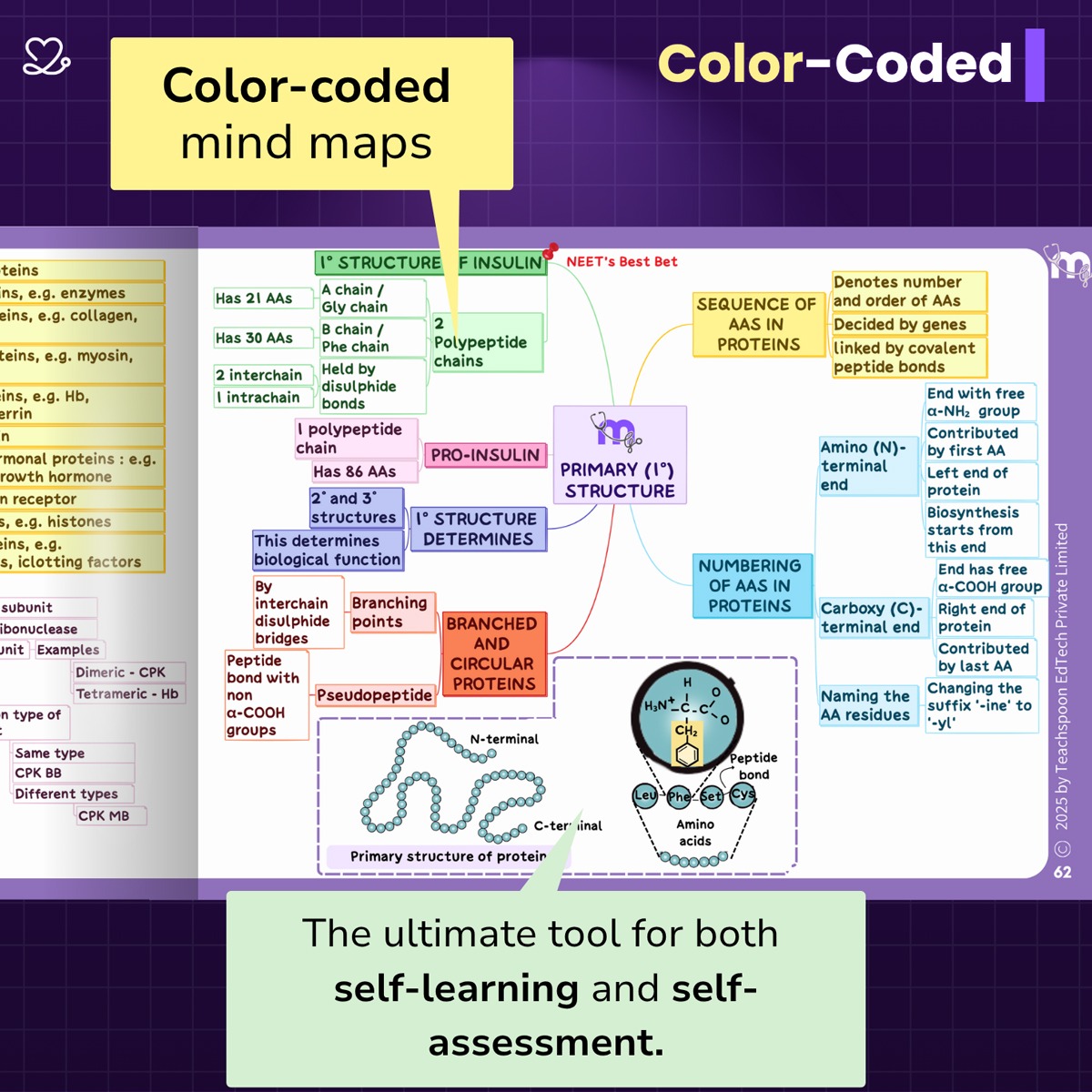 Medi Study Go Complete BDS Mind Maps Bundle (Pack Of 21)
