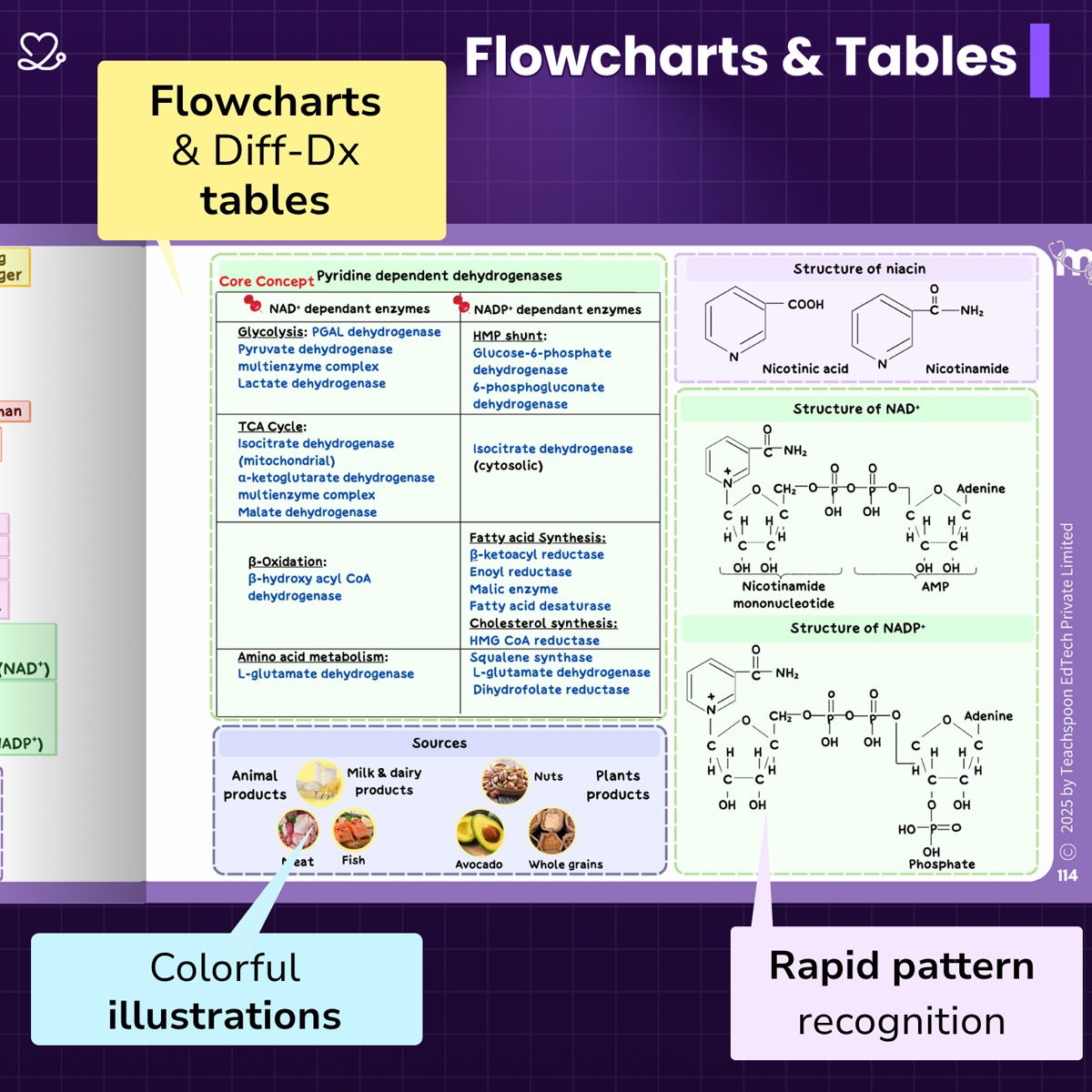 Medi Study Go Complete BDS Mind Maps Bundle (Pack Of 21)