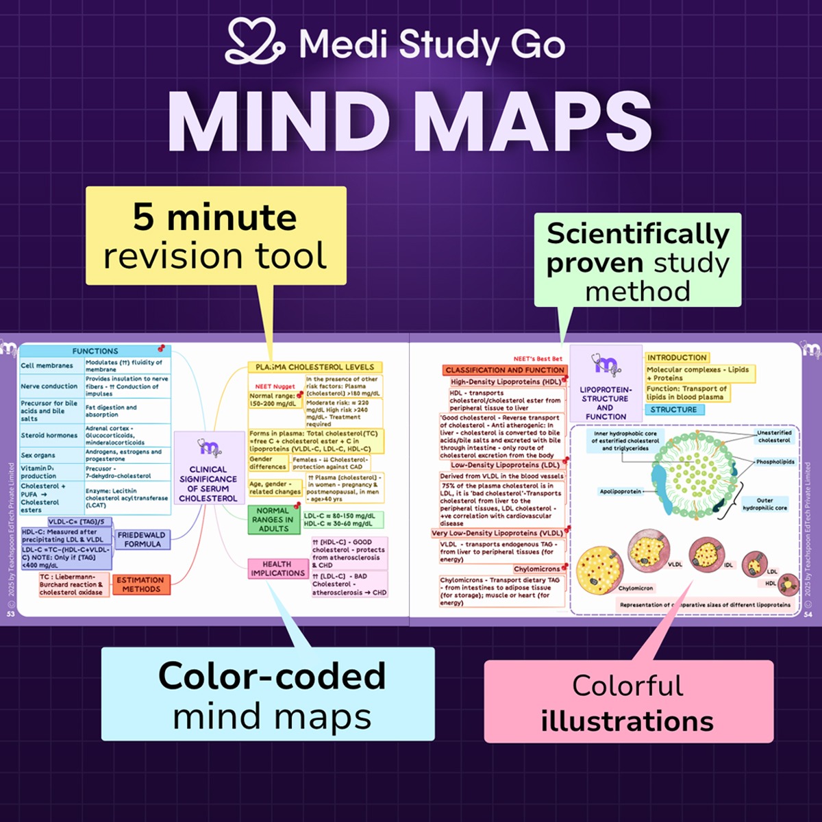 Medi Study Go Complete BDS Mind Maps Bundle (Pack Of 21)