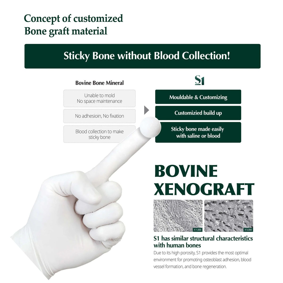 MedPark S1 Bone Graft | Xenograft | Powder Type | 0.25gm | 0.2mm-1.0mm