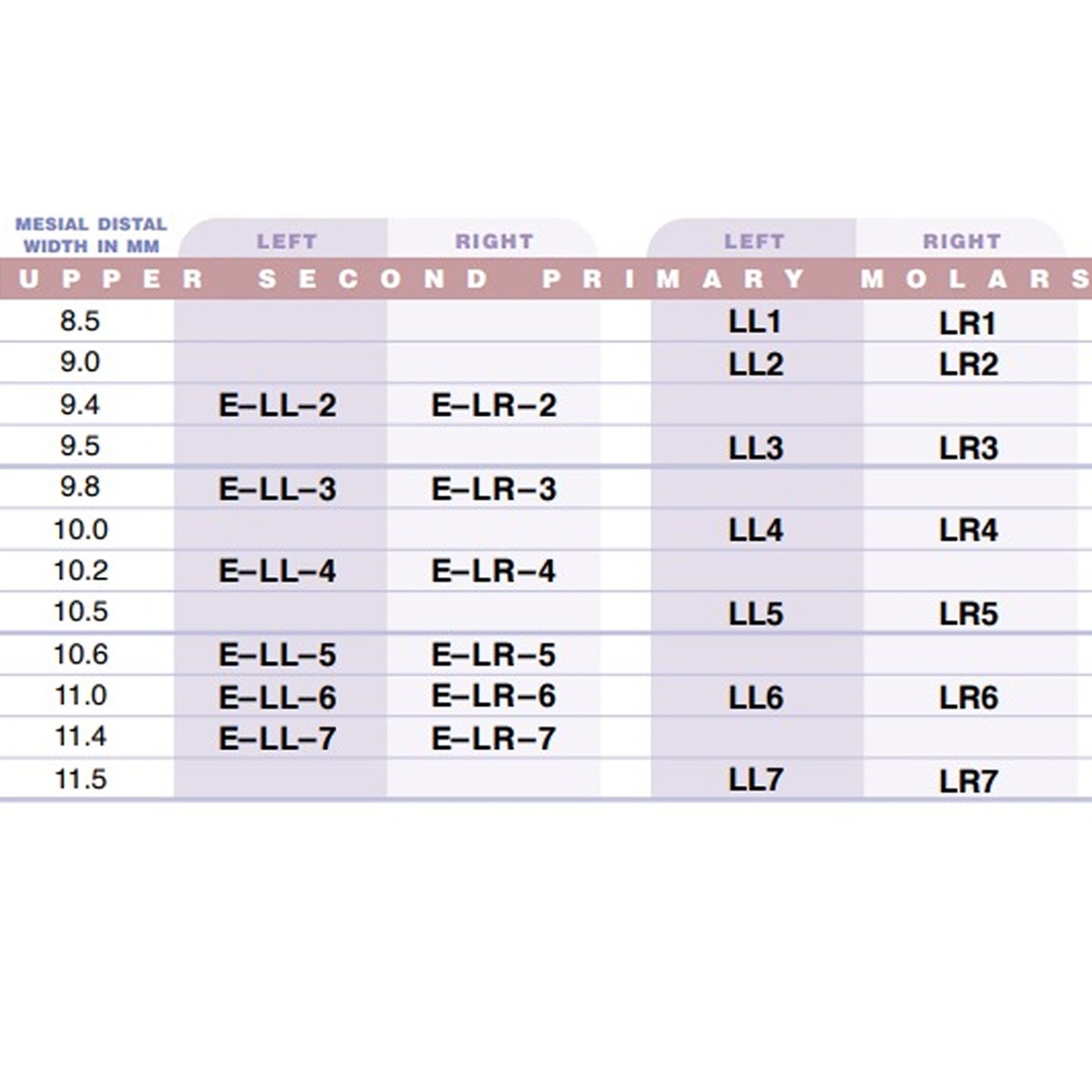 3M ESPE Stainless Steel Primary Crown E( 2nd Molar)