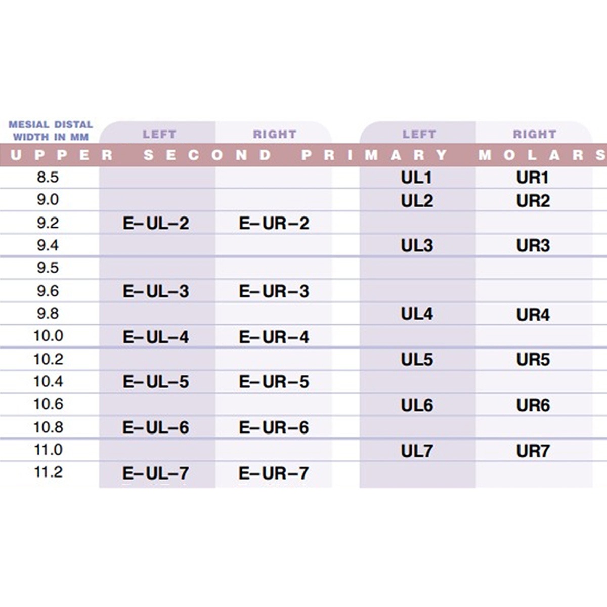 3M ESPE Stainless Steel Primary Crown E( 2nd Molar)