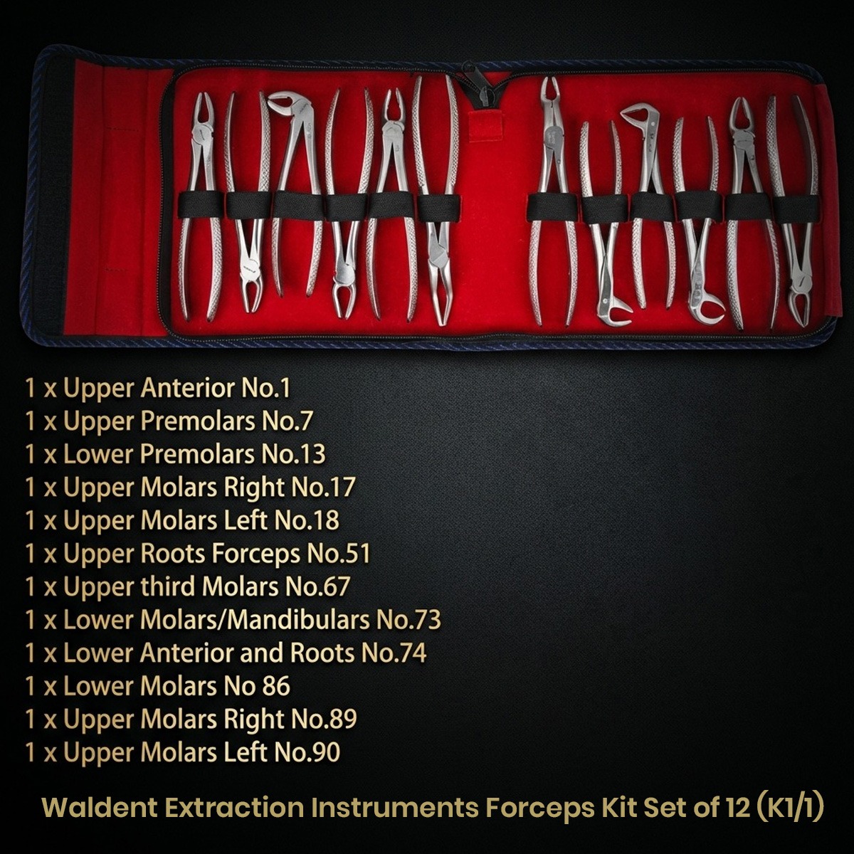 Waldent New Dental Clinic Setup Kit