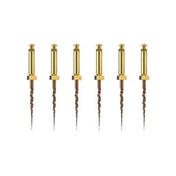 Dentsply Protaper Gold Rotary Files 19mm Sx (Pack of 6)