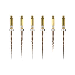 Dentsply Protaper Gold Rotary Files 25mm S2 (Pack of 6)