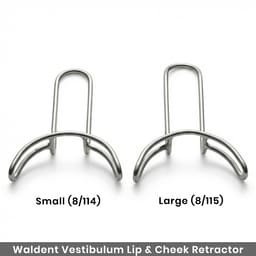 Waldent Vestibulum Lip & Cheek Retractors - 2