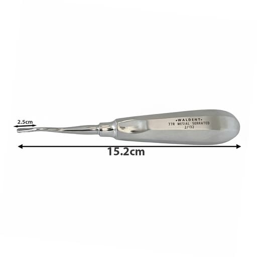 Waldent Root Elevator With Mesial Serrated Tip - 77R (2/132)