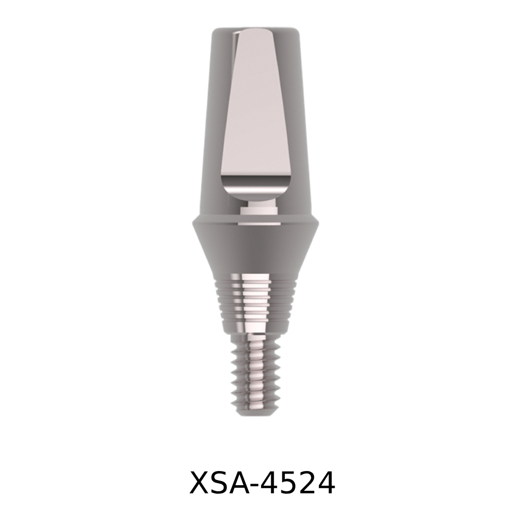 Xcem Dental Implant Mini Submerged Solid Abutment 4.5mm x G/H 2mm x 4mm (XSA-4524)