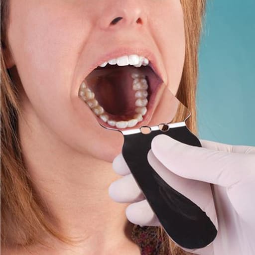 Dental Intraoral Photographic Mirrors - Adult Occlusal / Adult Buccal