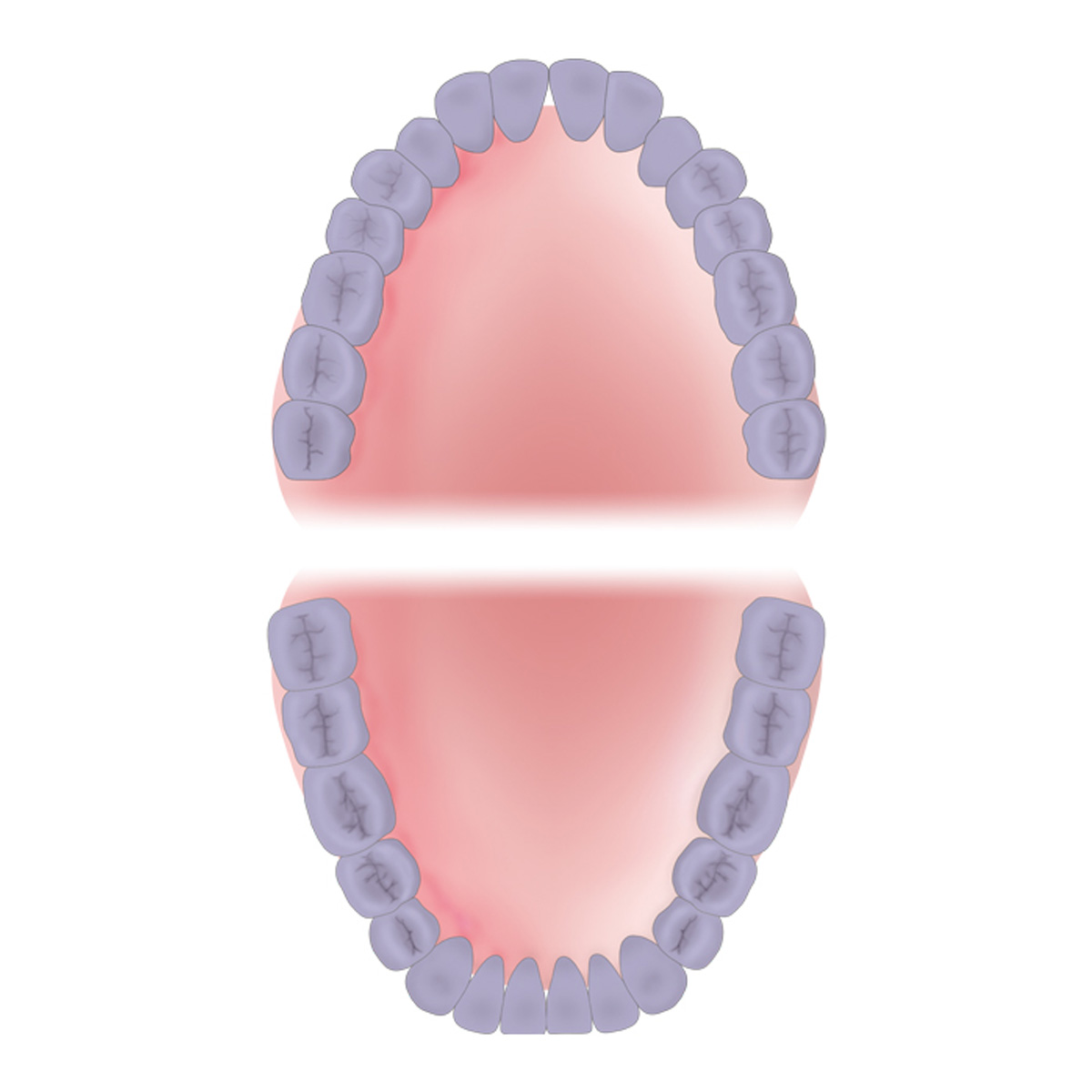 American Eagle Universal Blackjack Stainless Steel Handle Scaler With XP Technology - AESBJXPZ