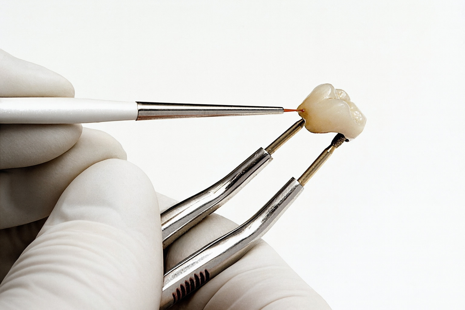 Jinguang Ceramic Porcelain Brushes