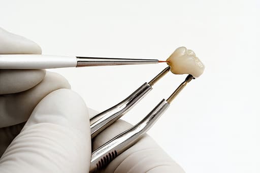 Jinguang Ceramic Porcelain Brushes