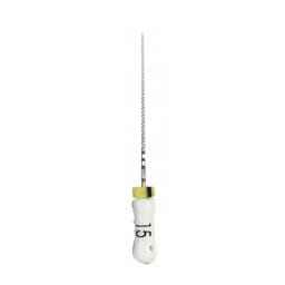 Dentsply C+ Ready Steel Endodontic Hand Files 21mm  - 4