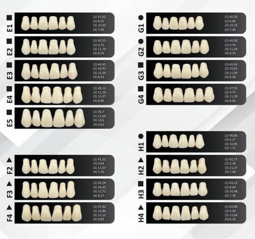 Rubydent CompacZahn Acrylic Denture Teeth A1 (Set of 28)