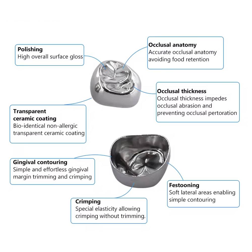 SuperEndo Stainless Steel Crowns Primary Molar Kit (Set Of 48)