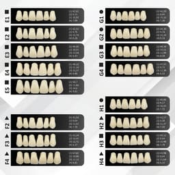 Rubydent CompacZahn Acrylic Denture Teeth A2 (Set of 28) - 9