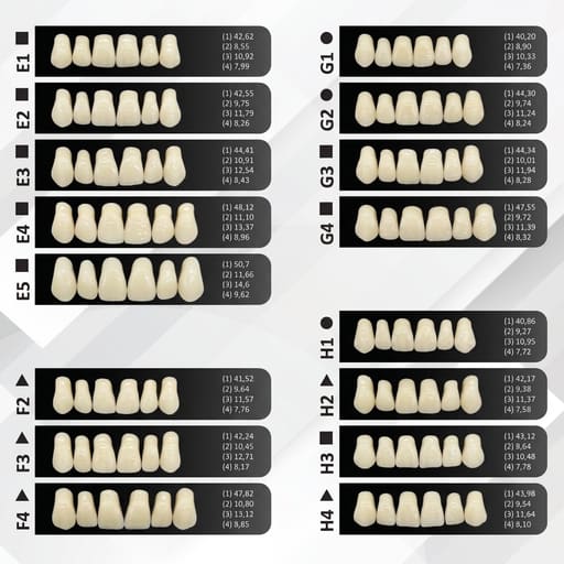Rubydent CompacZahn Acrylic Denture Teeth A2 (Set of 28)