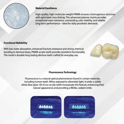 Rubydent CompacZahn Acrylic Denture Teeth A2 (Set of 28) - 12