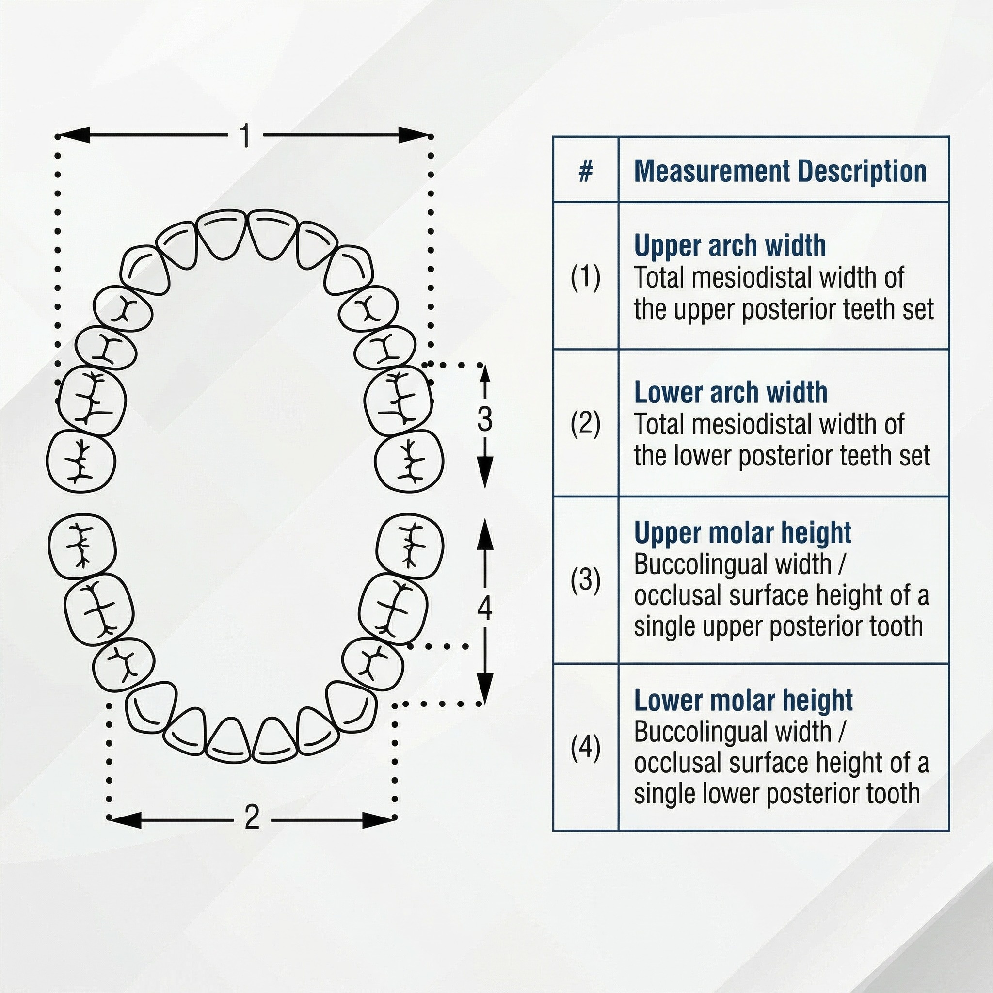 Rubydent CompacZahn Acrylic Denture Teeth A3 (Set of 28)