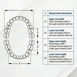 Rubydent CompacZahn Acrylic Denture Teeth A1 (Set of 28) - 8