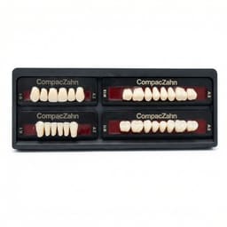 Rubydent CompacZahn Acrylic Denture natural shade Teeth A2- G1-K1-M1(Set of 28) (2 layered)